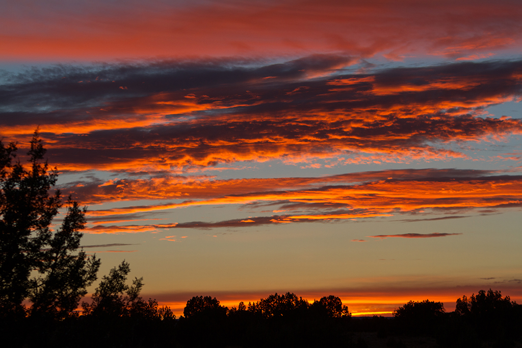 10-11 - 12.jpg - Canyonlands National Park, Needles District